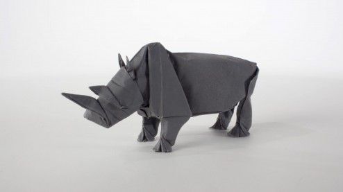 Origami-Rhino-01-494x277