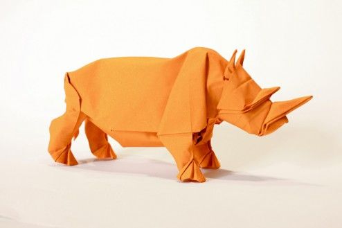 Origami-Rhino-05-494x329